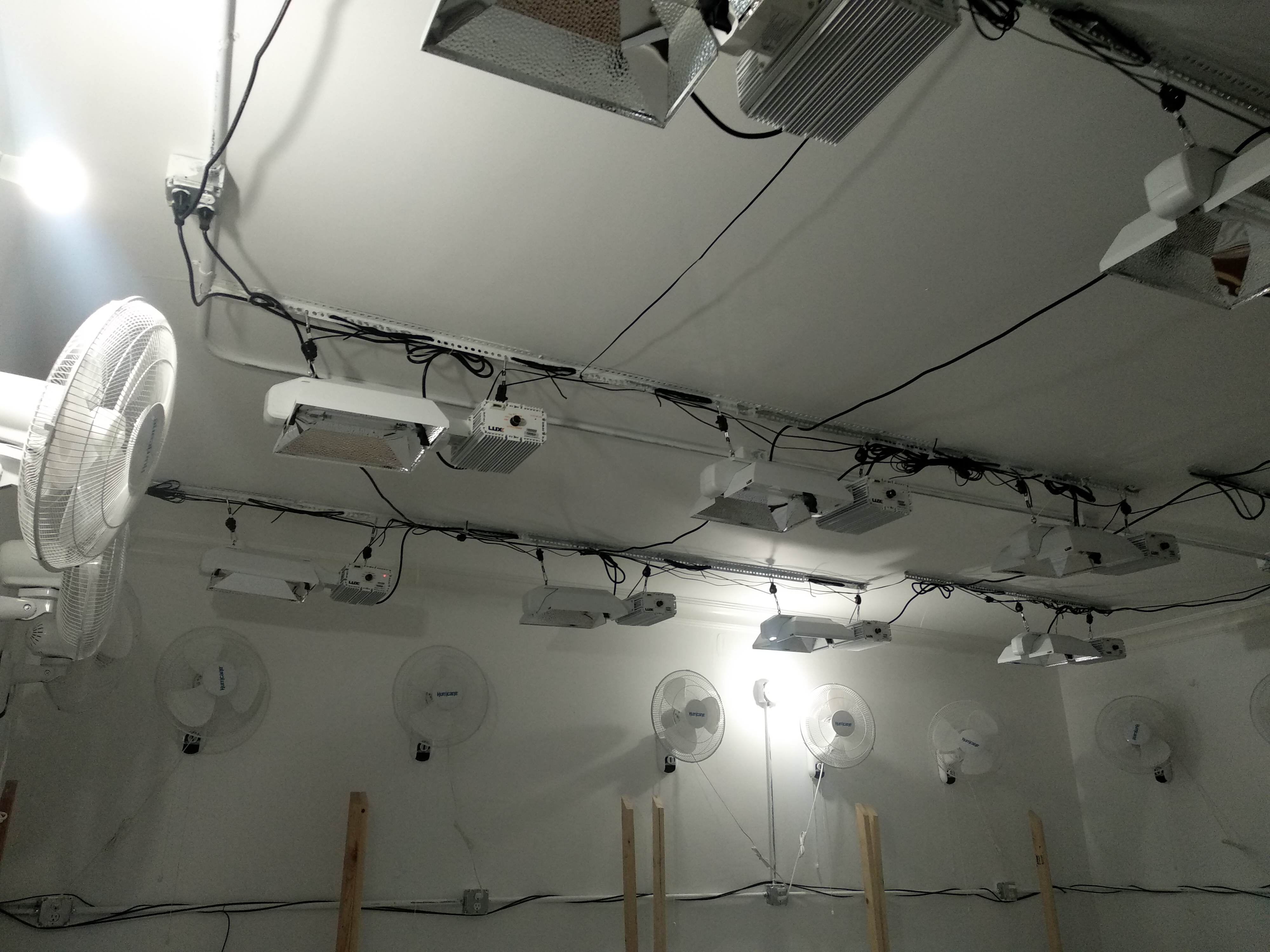 GrowRoom № 1
