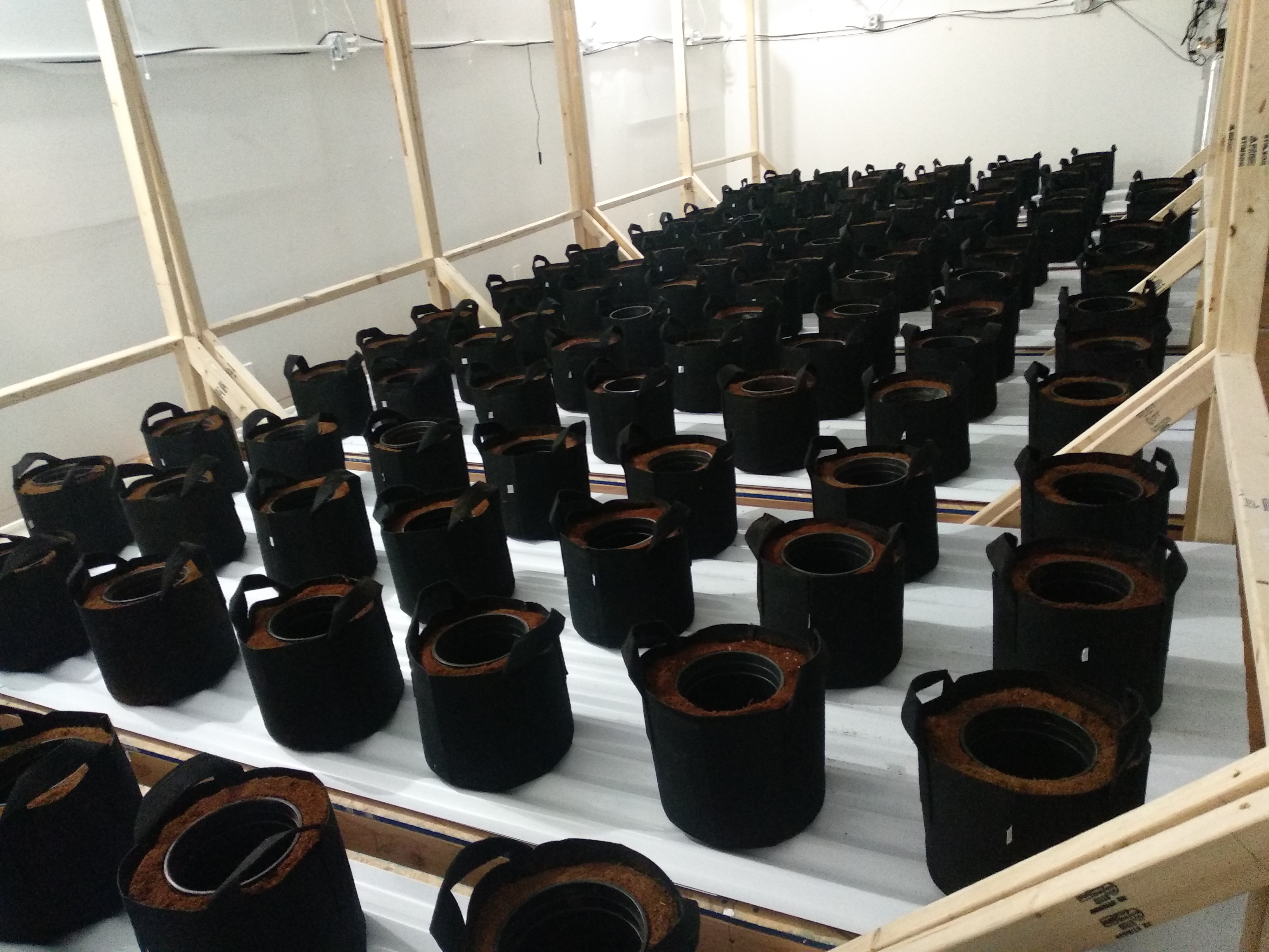 GrowRoom № 2