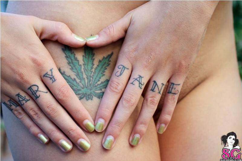 hemp-leaf-04.jpg