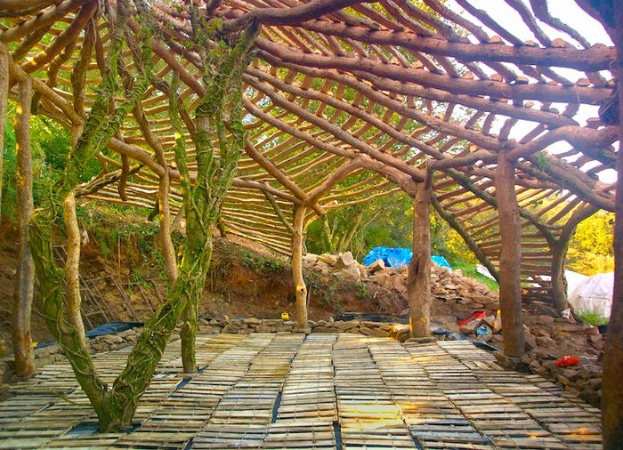 hobbit house 06