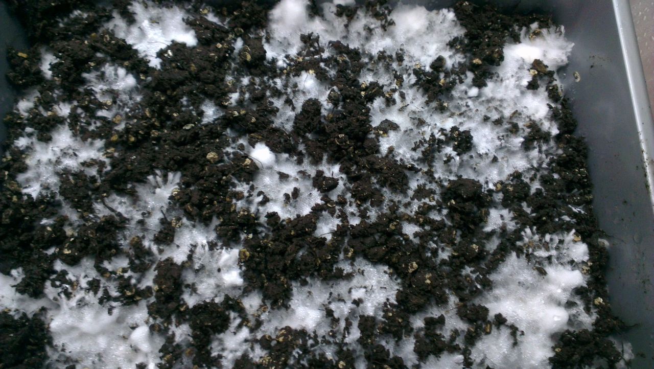 i003
