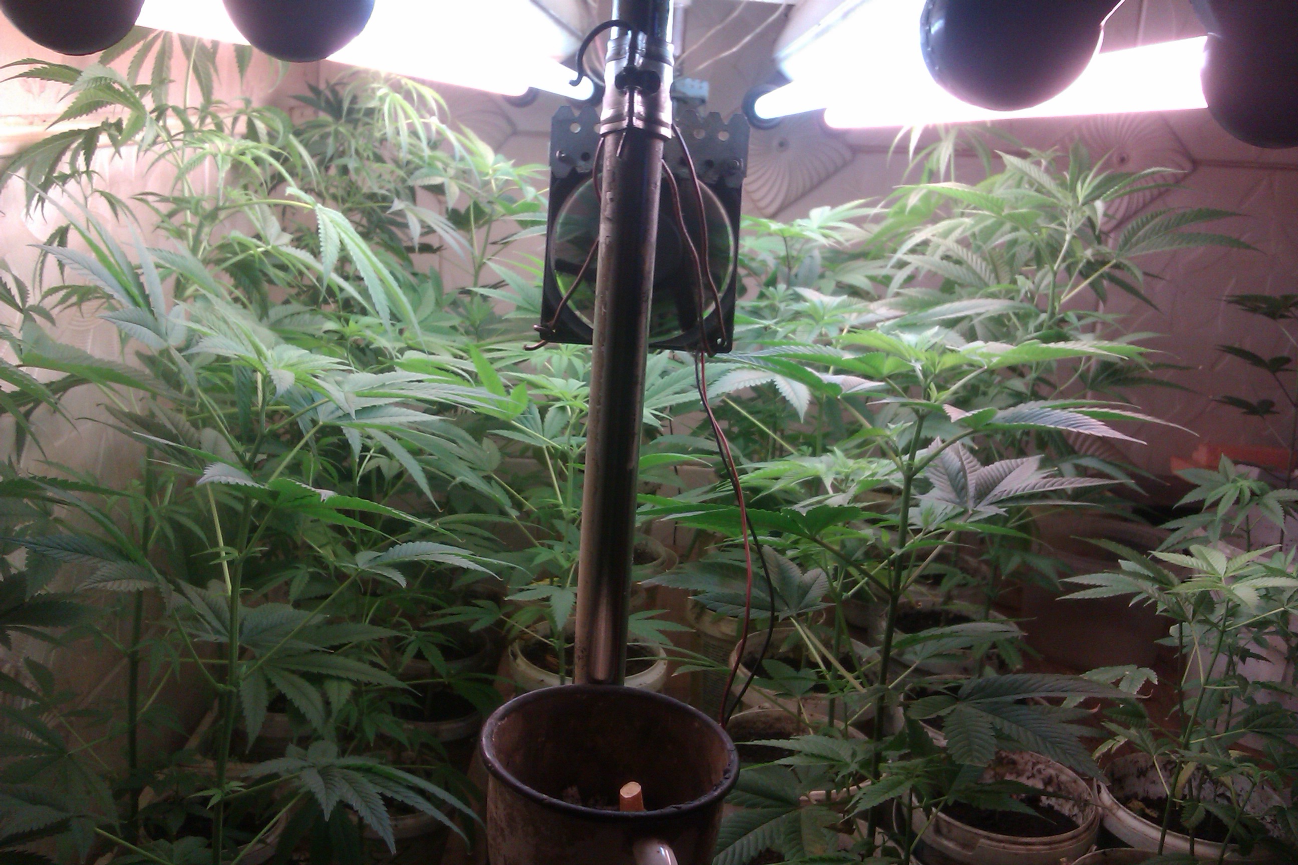 IMAG0055.jpg