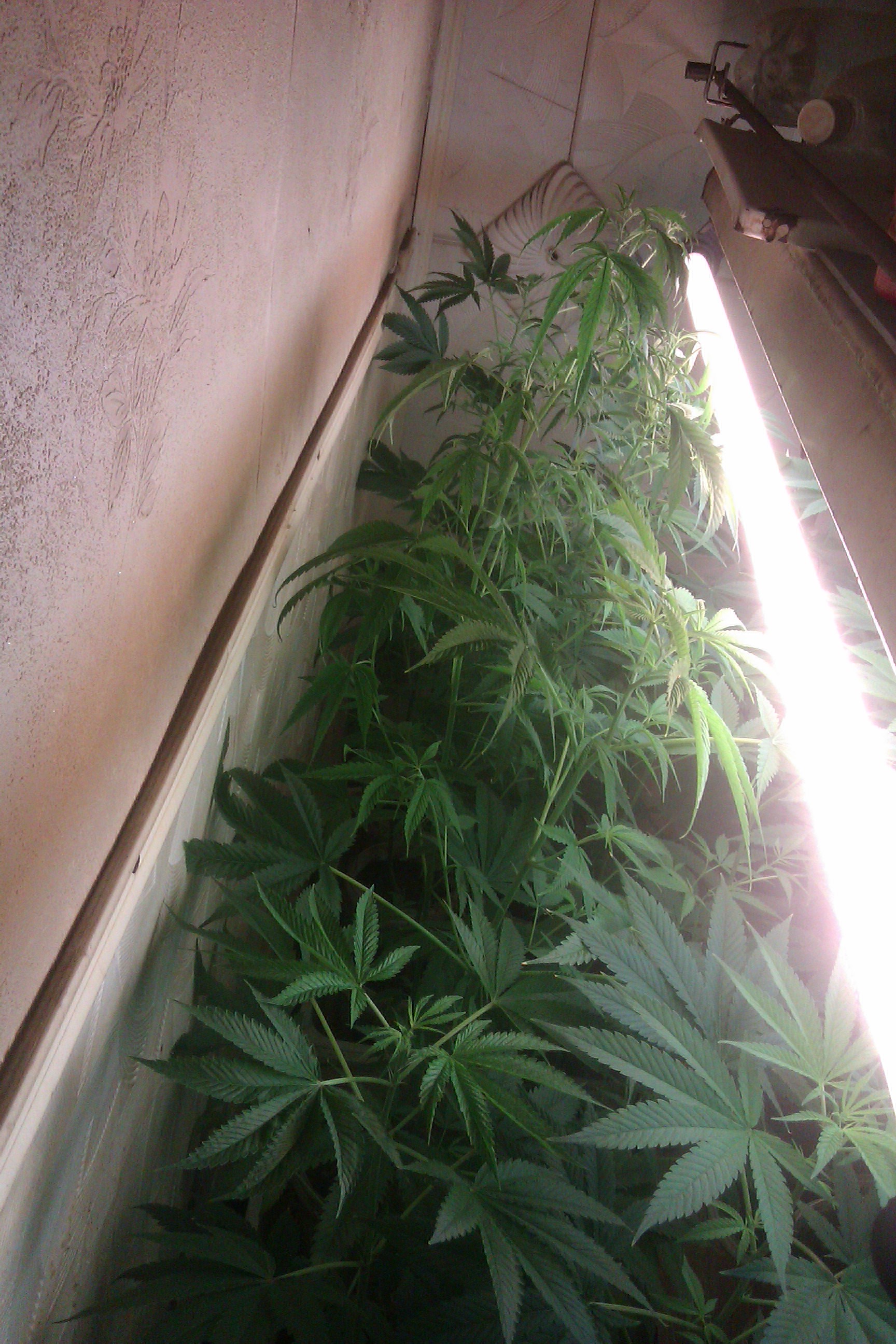 IMAG0073.jpg