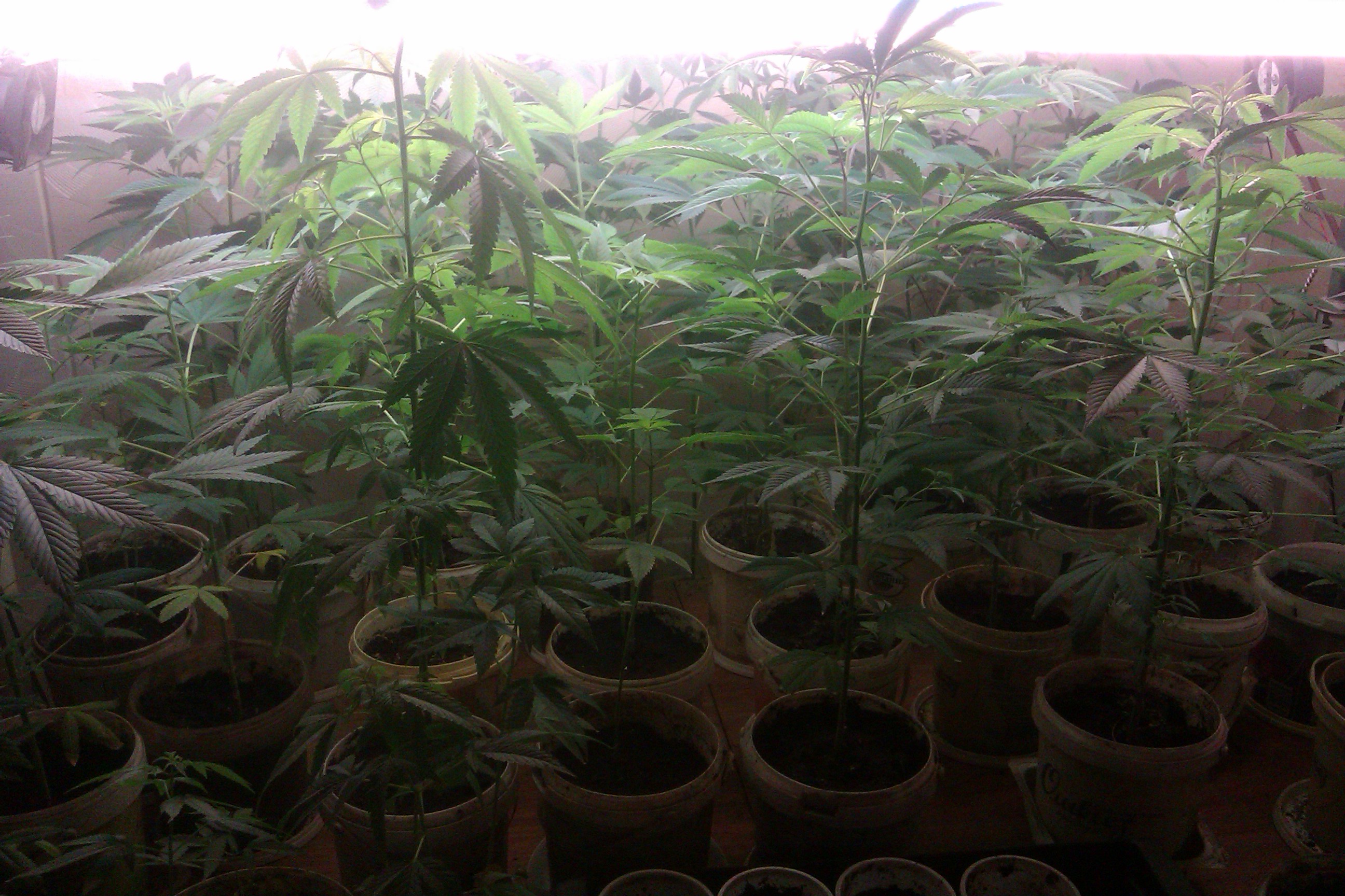 IMAG0074.jpg