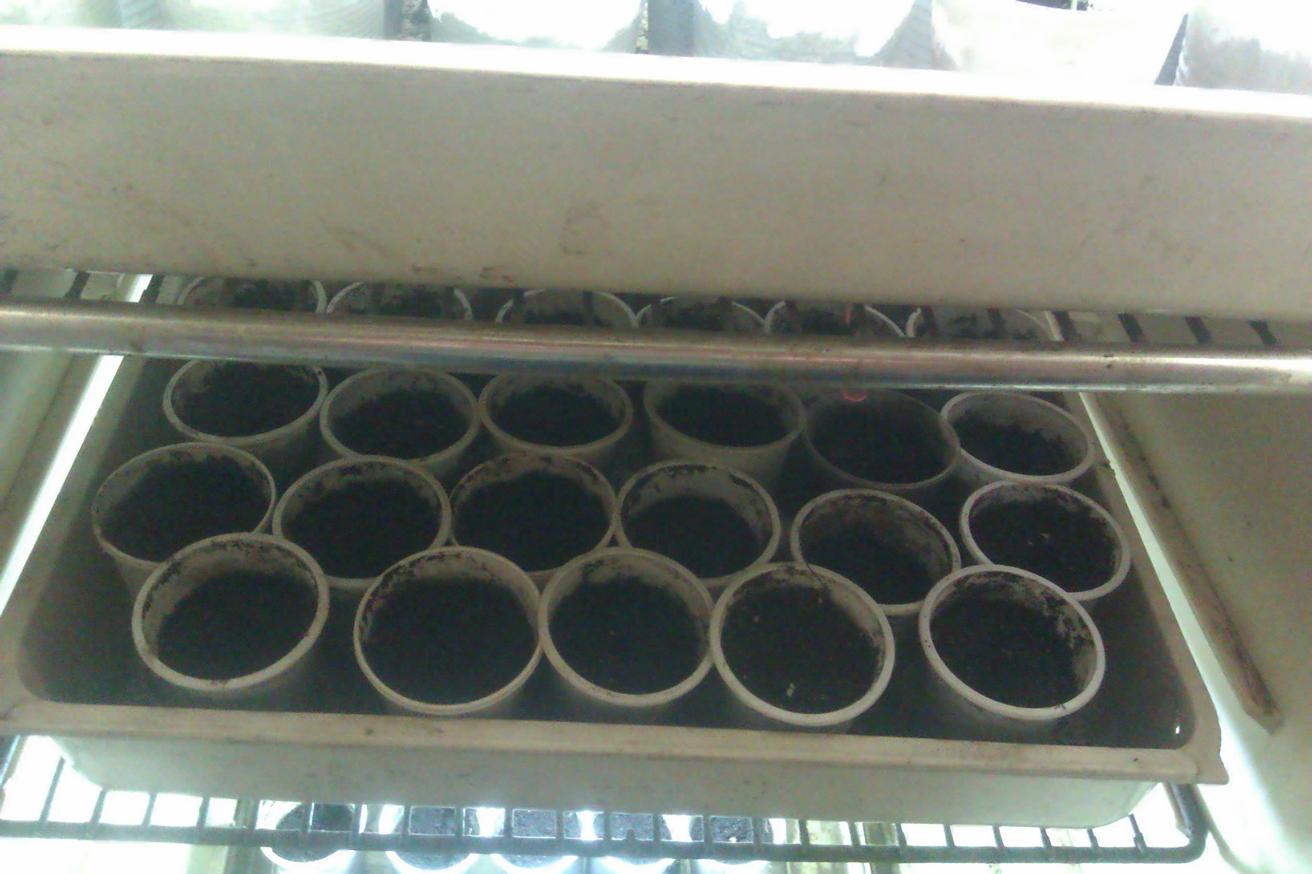 IMAG0079.jpg