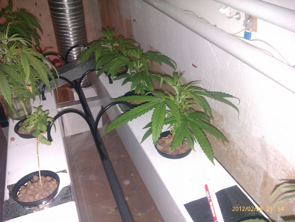 IMAG0092
