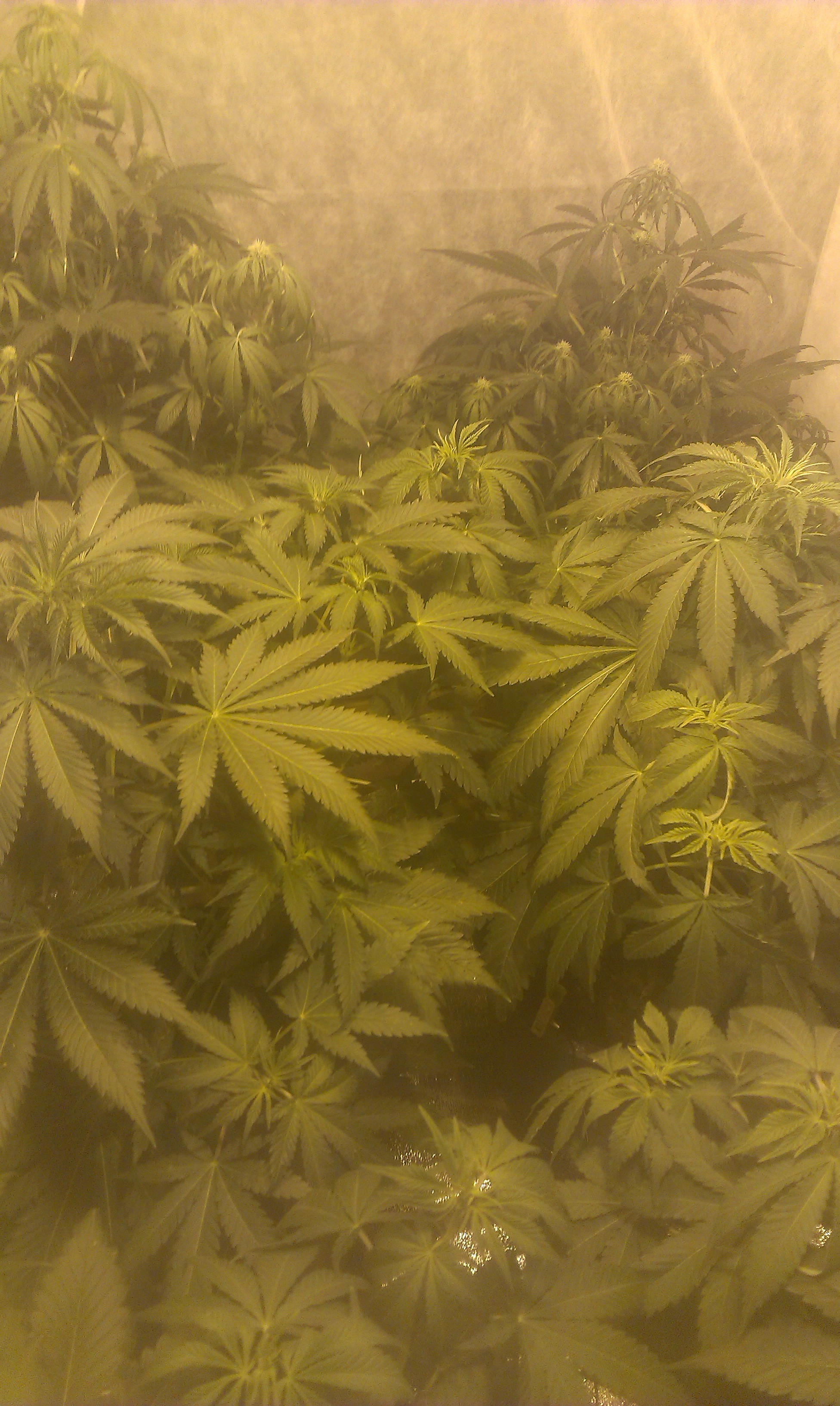 IMAG0100