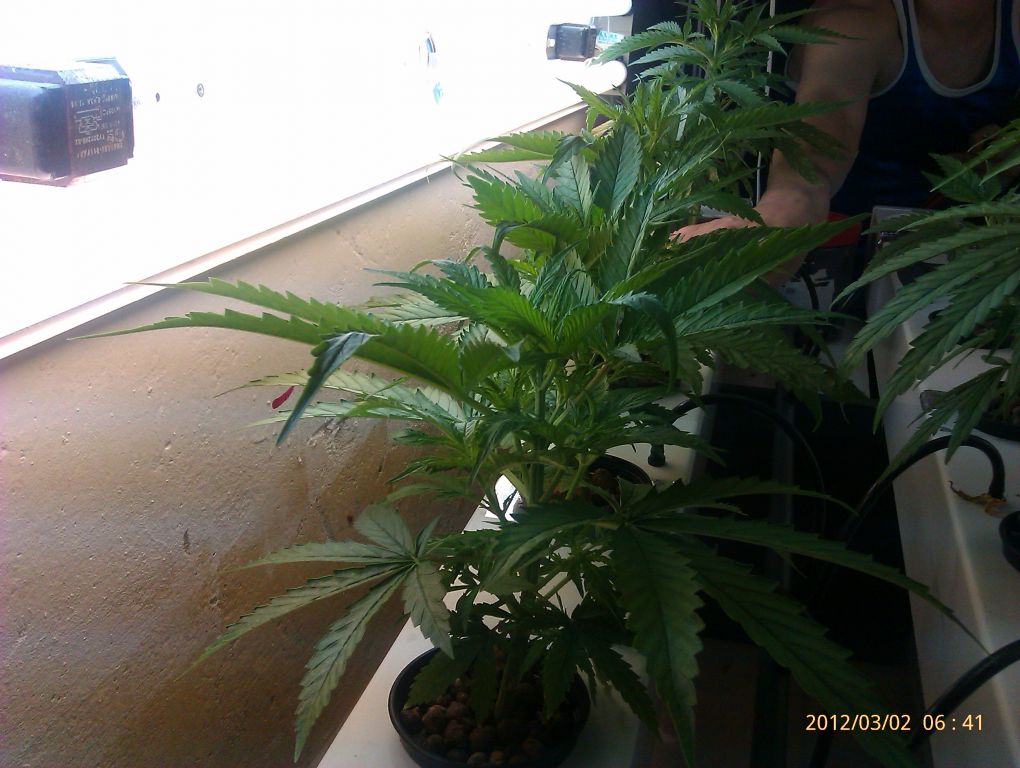 IMAG0102