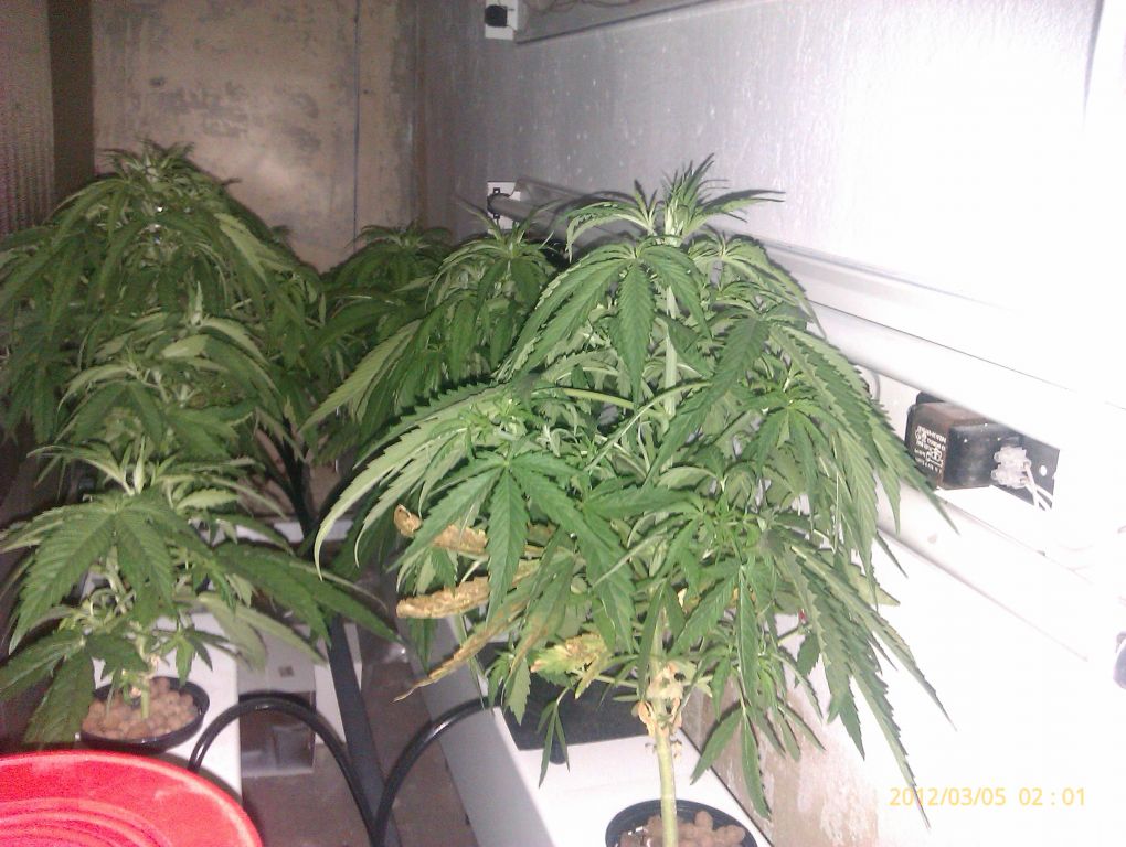 IMAG0103