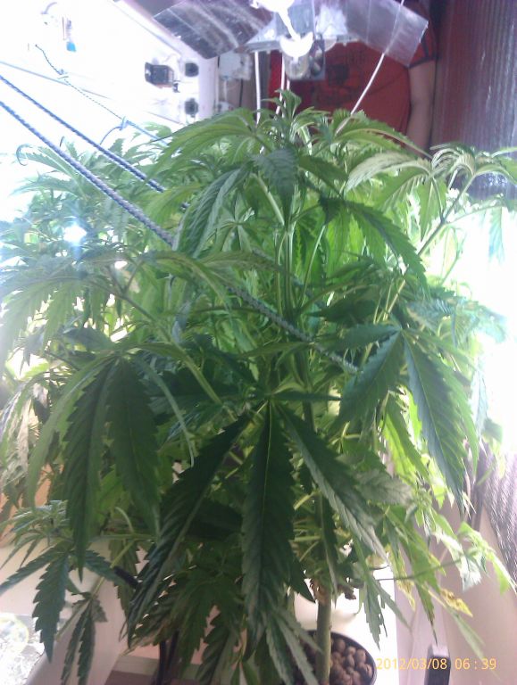 IMAG0114