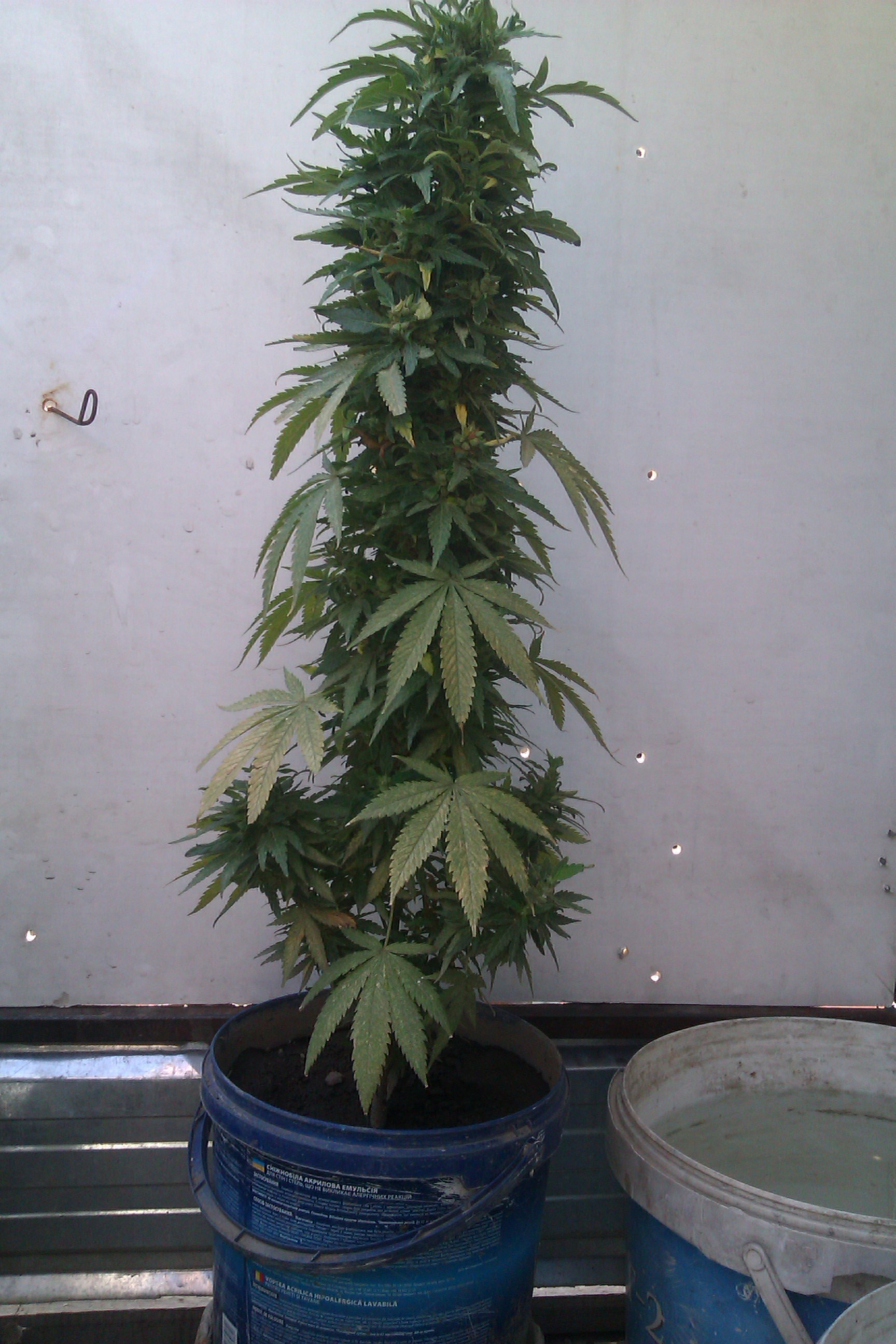 IMAG0116.jpg