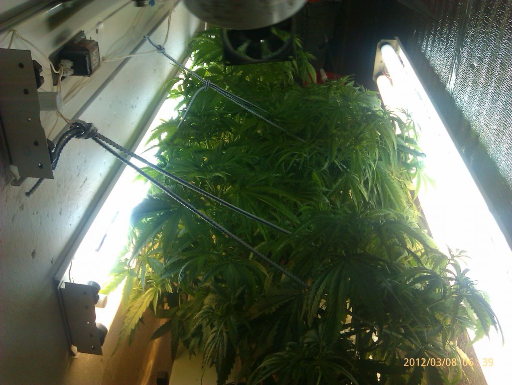 IMAG0116