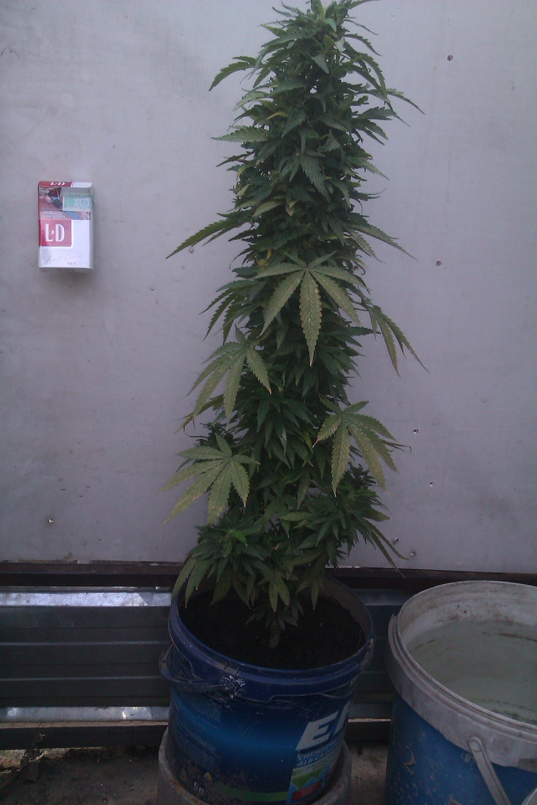 IMAG0119.jpg