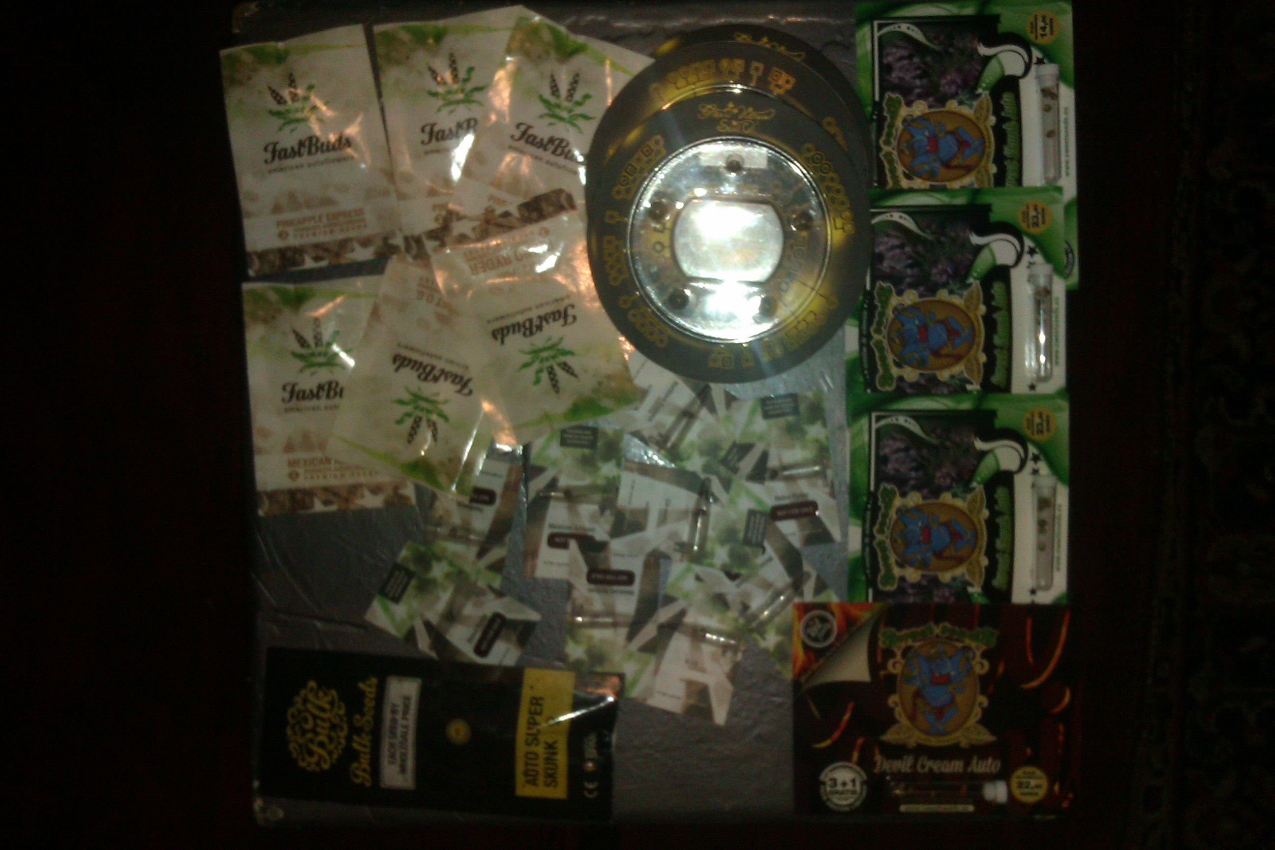 IMAG0124.jpg