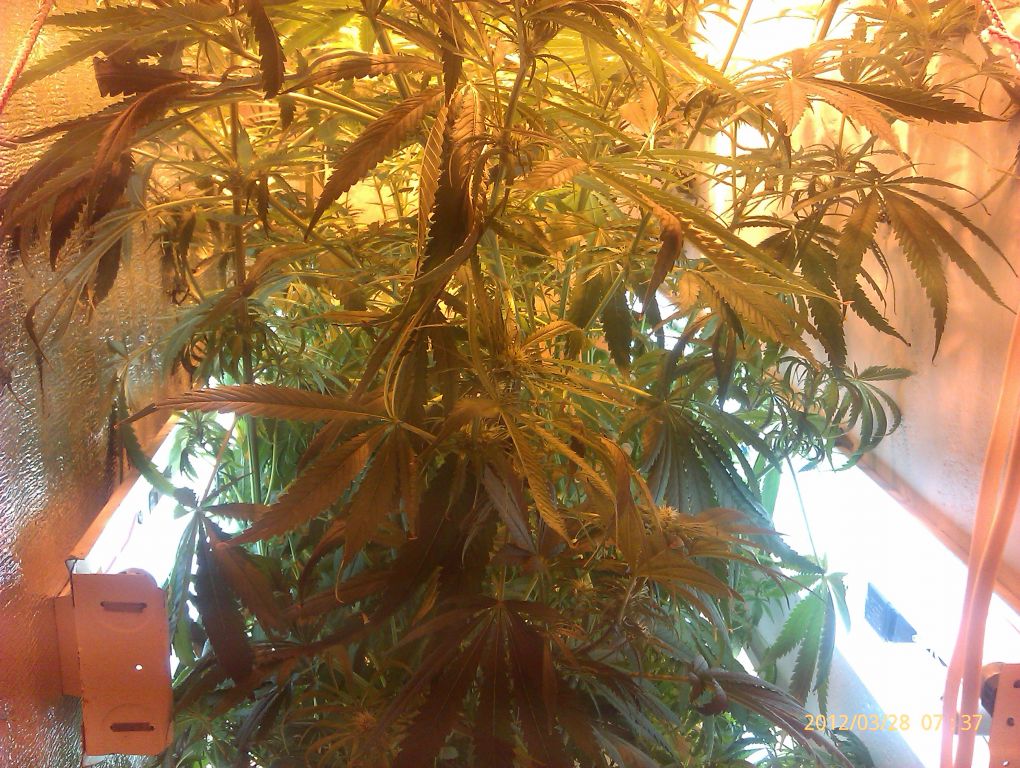 IMAG0130
