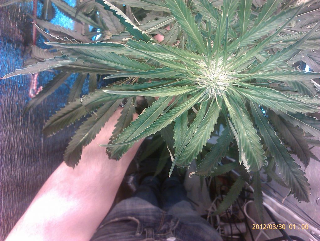 IMAG0157