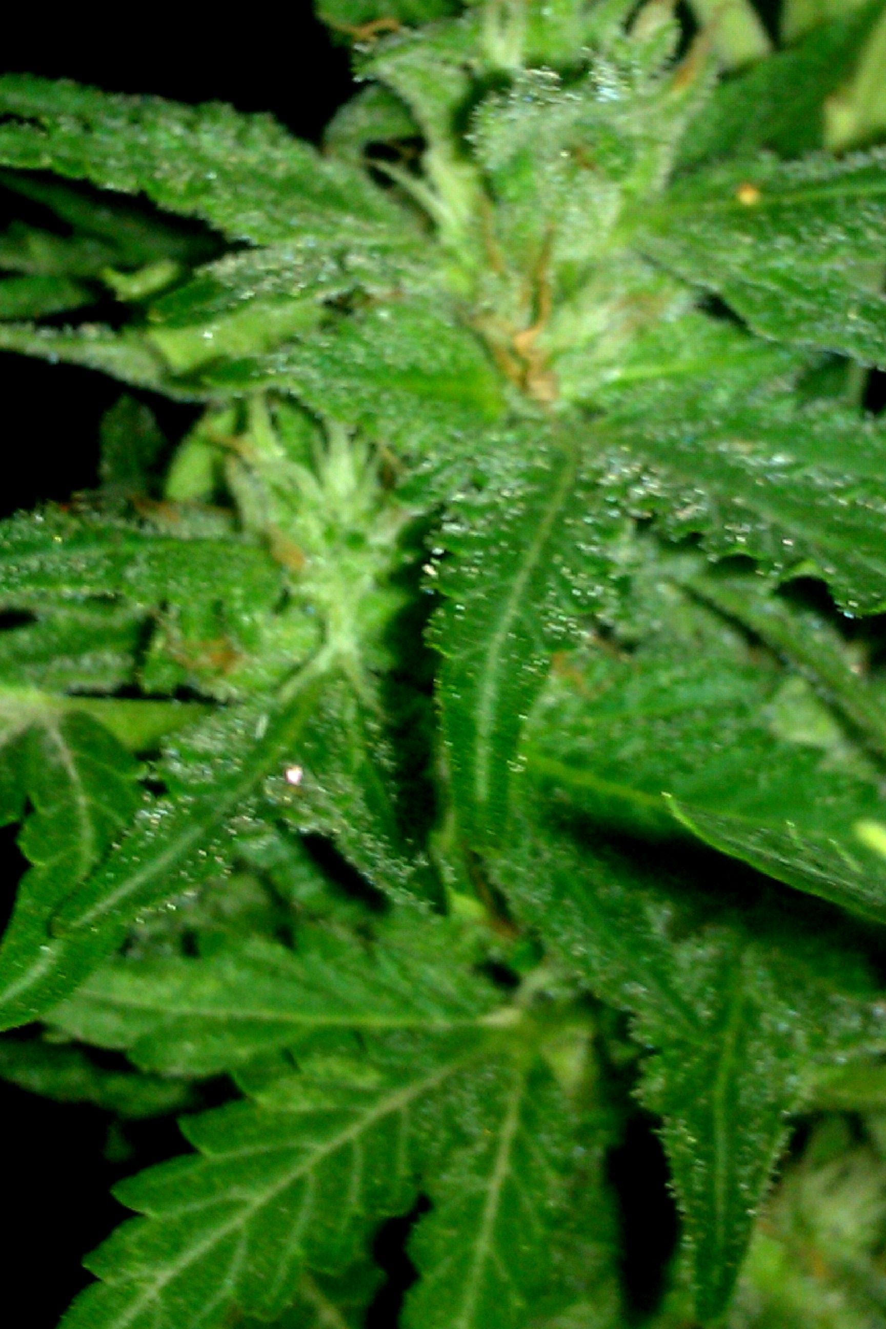 IMAG0159.jpg