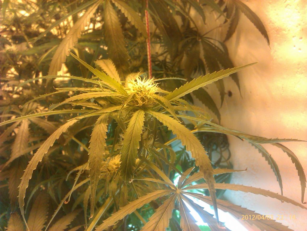 IMAG0168
