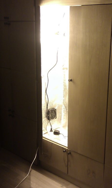 IMAG0186