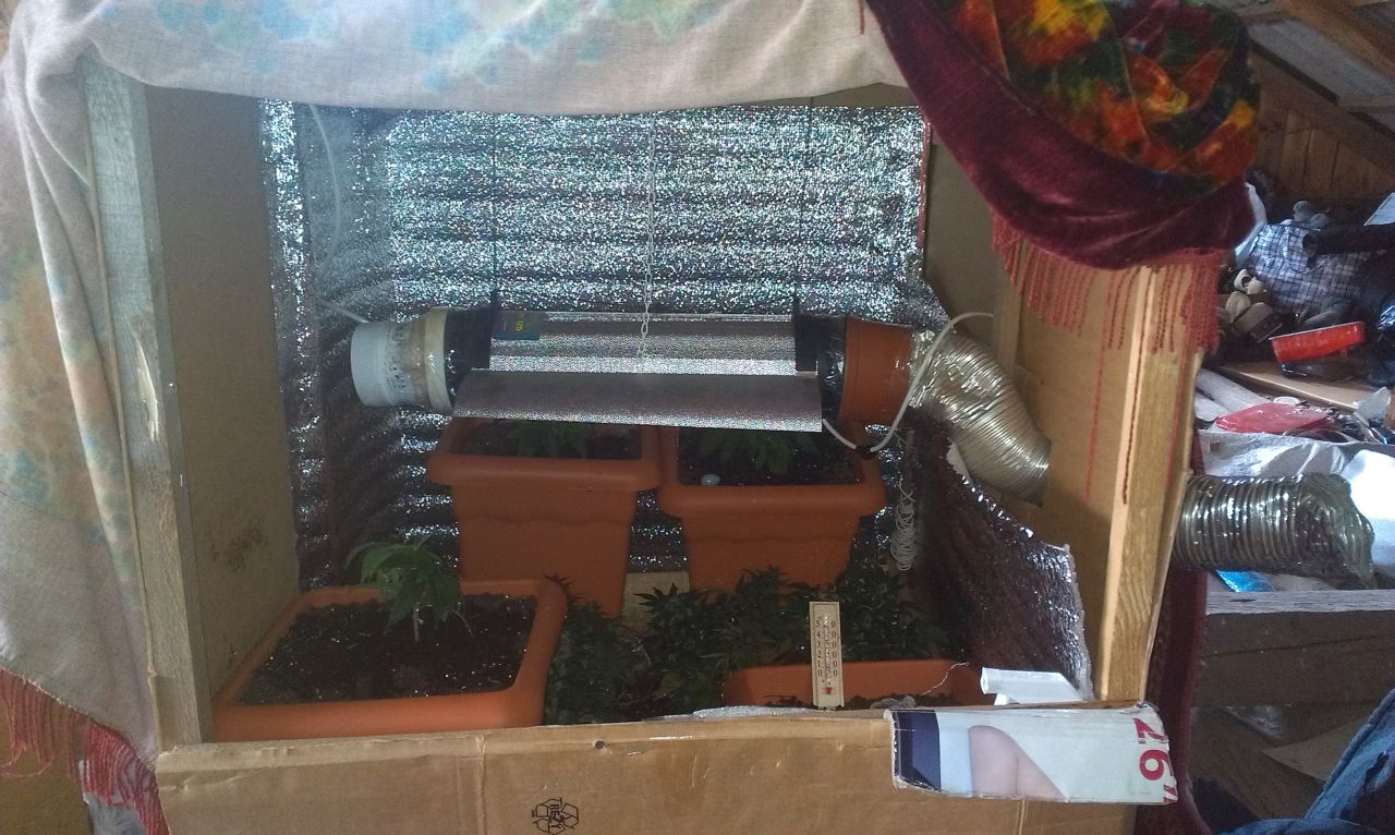 IMAG0198