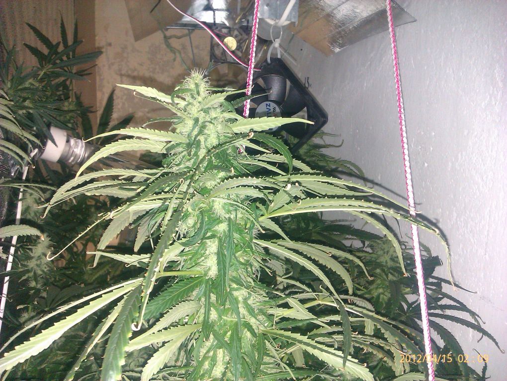 IMAG0238