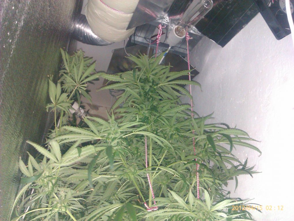 IMAG0242