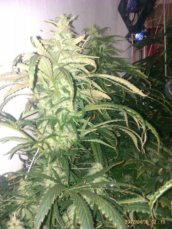 IMAG0257