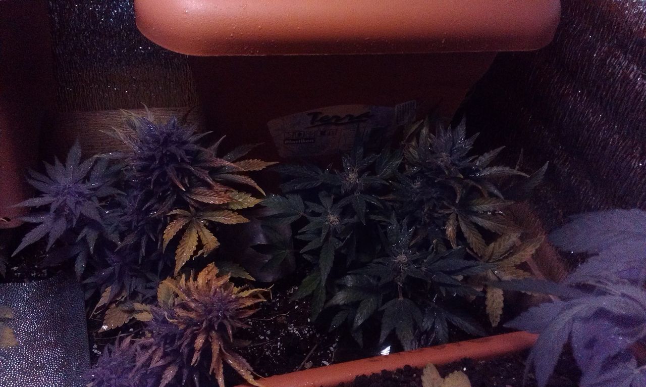 IMAG0257