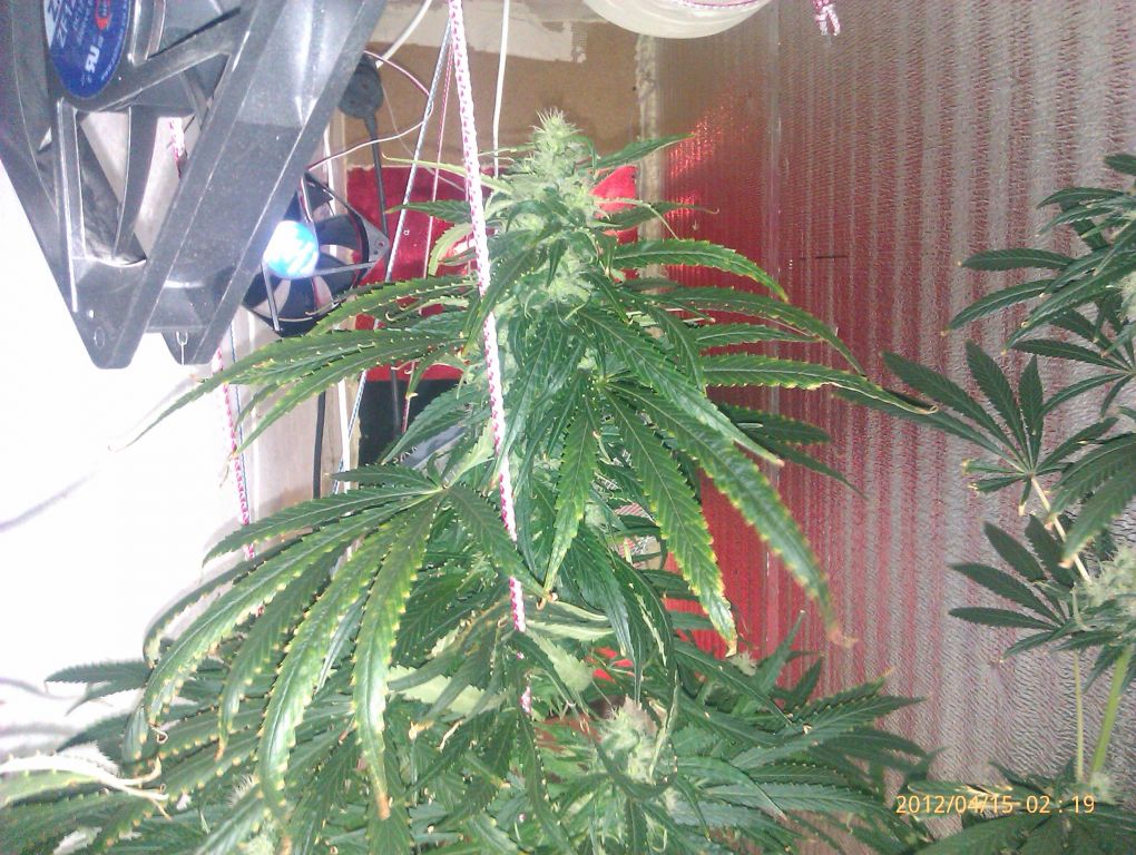 IMAG0261