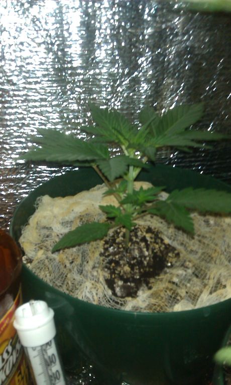 IMAG0305