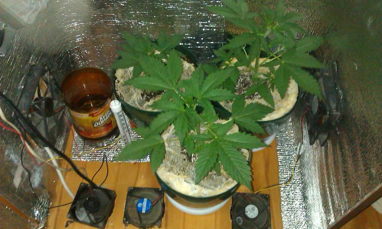 IMAG0306