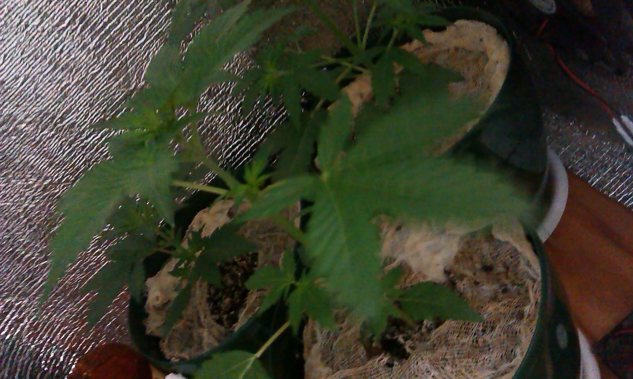 IMAG0307
