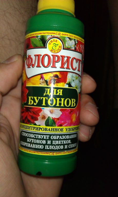 IMAG0447