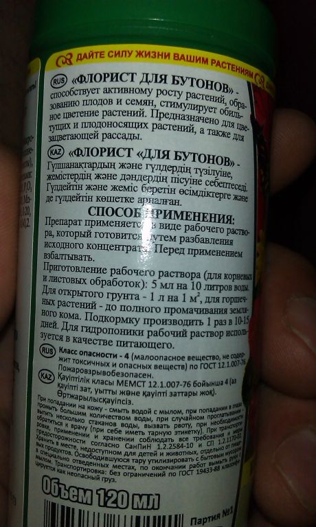 IMAG0448
