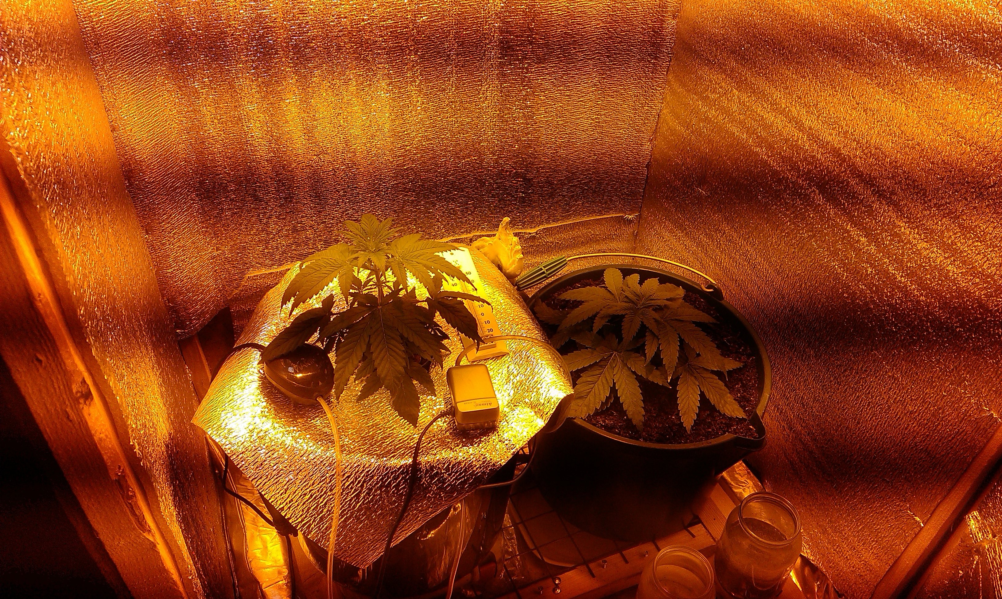IMAG0505