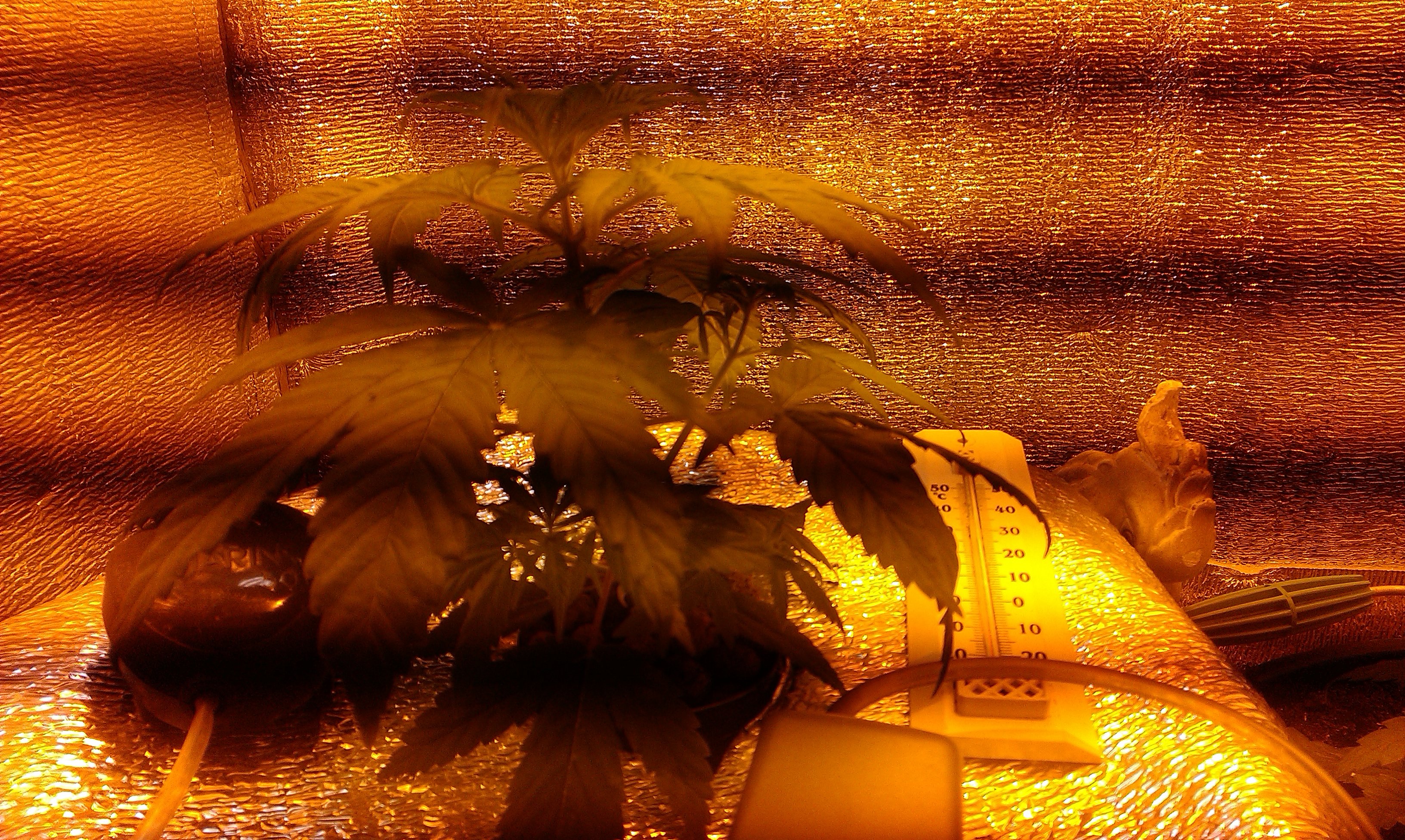 IMAG0507