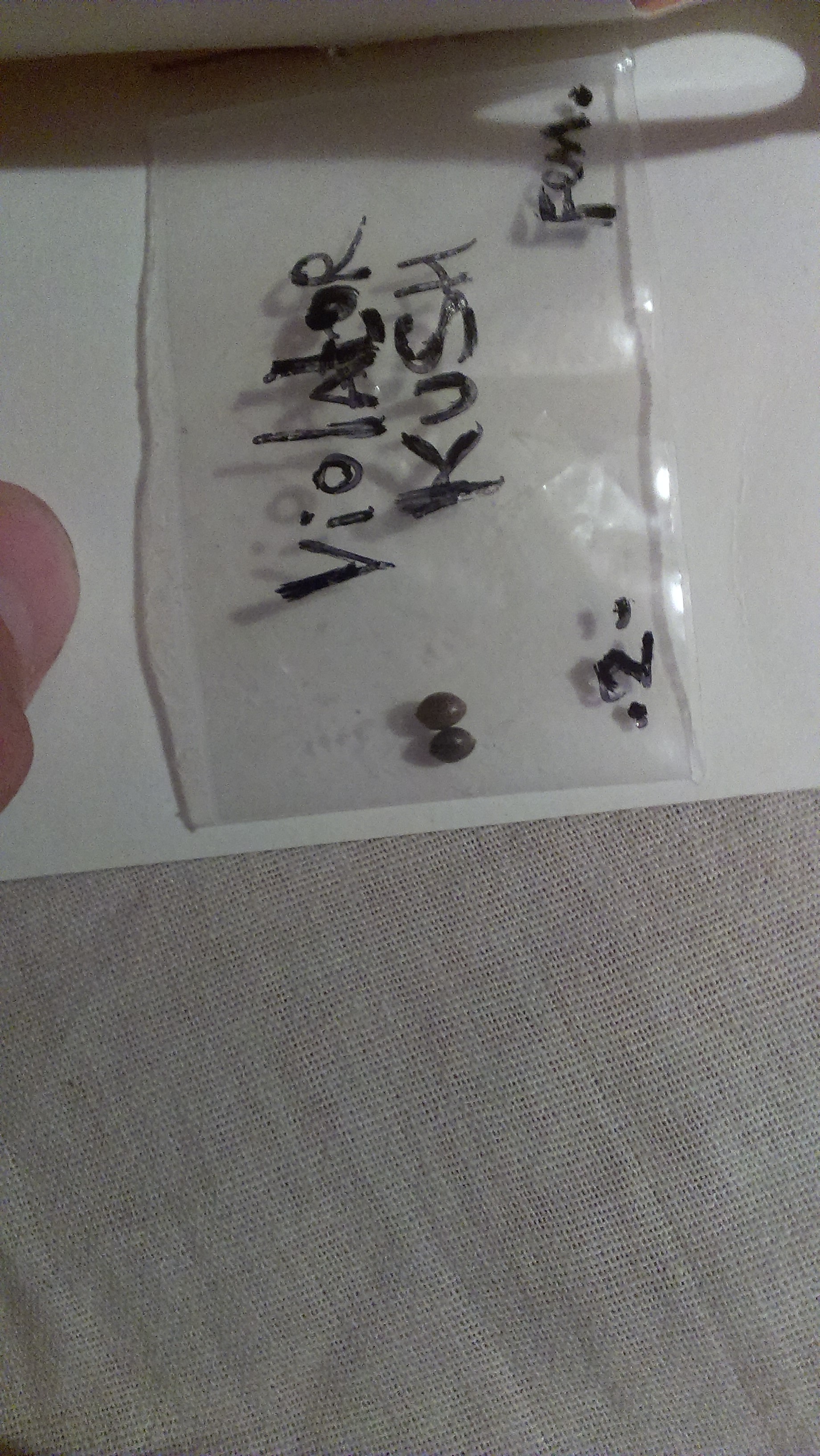 IMAG0508
