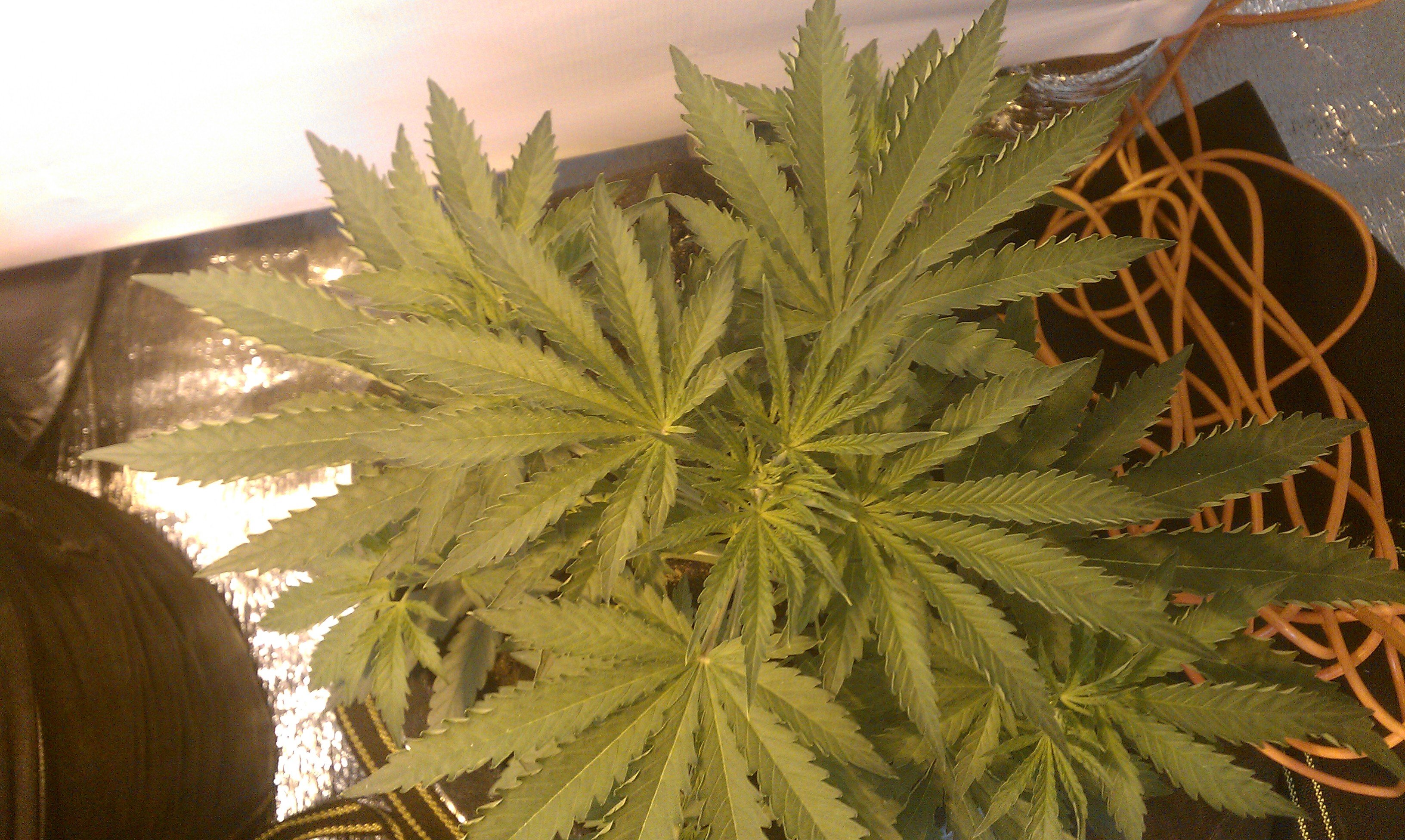 IMAG0847