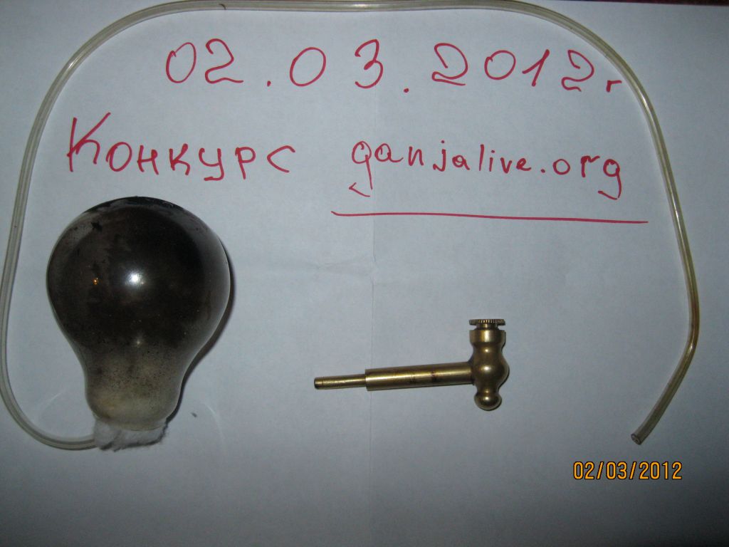 IMG 0013