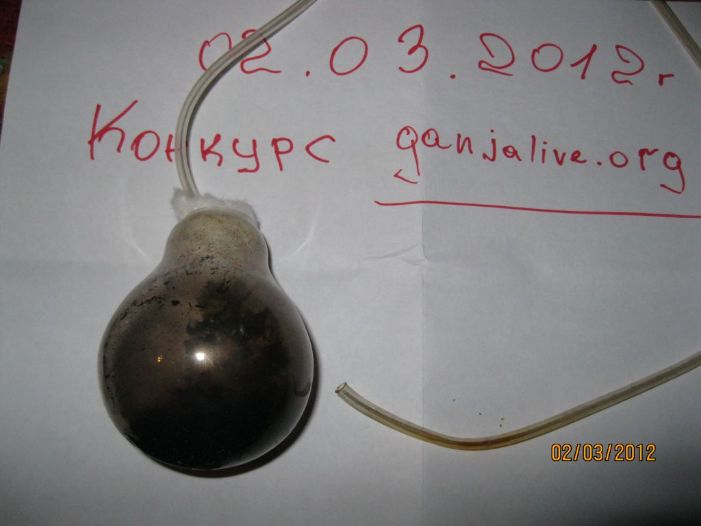 IMG 0017