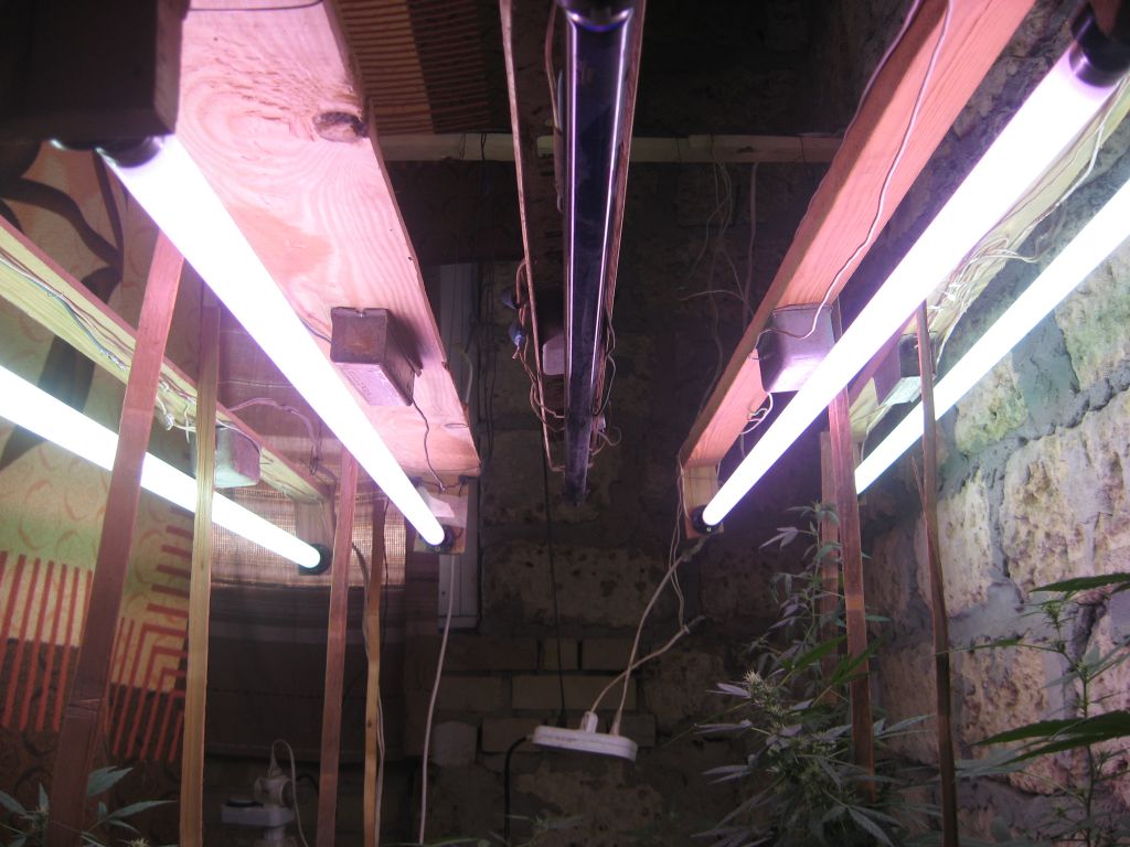 IMG 0482