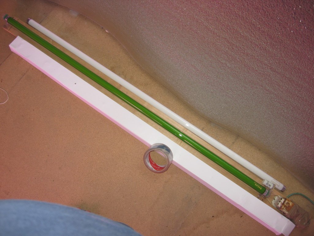 IMG 0891