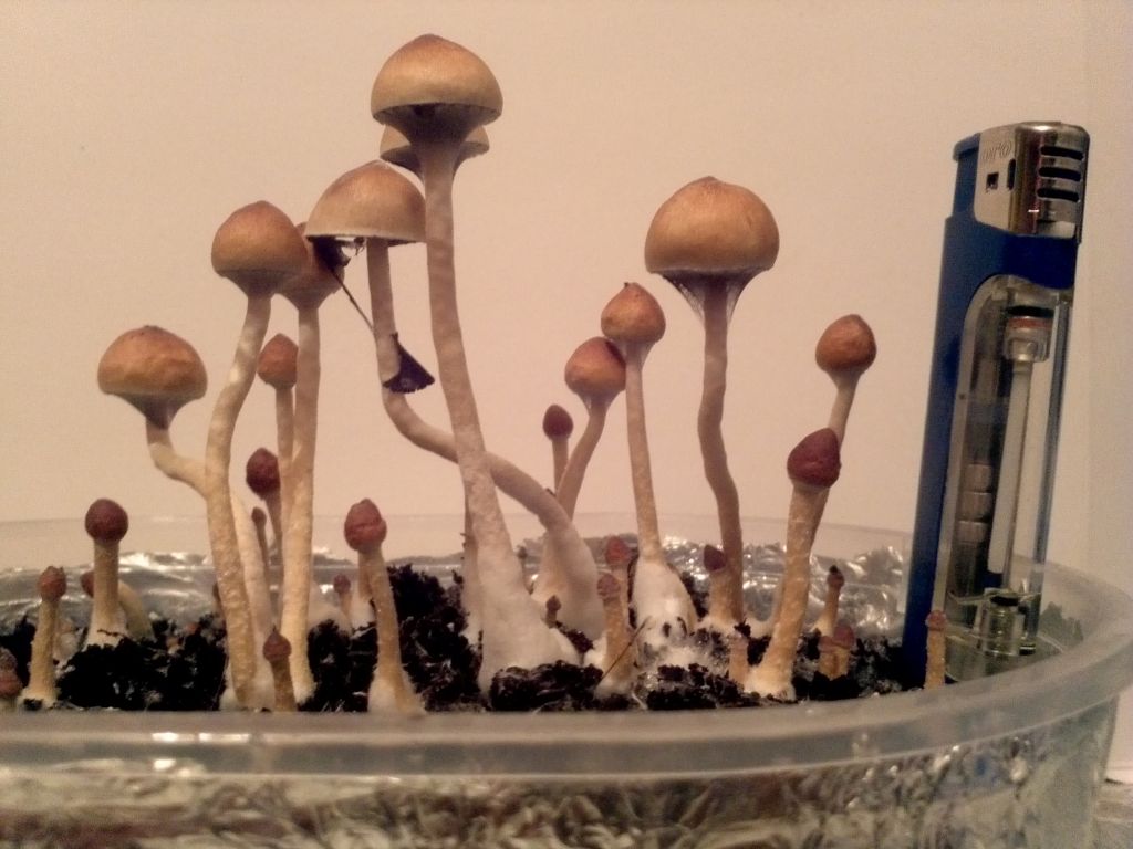 IMG 20121125 174145