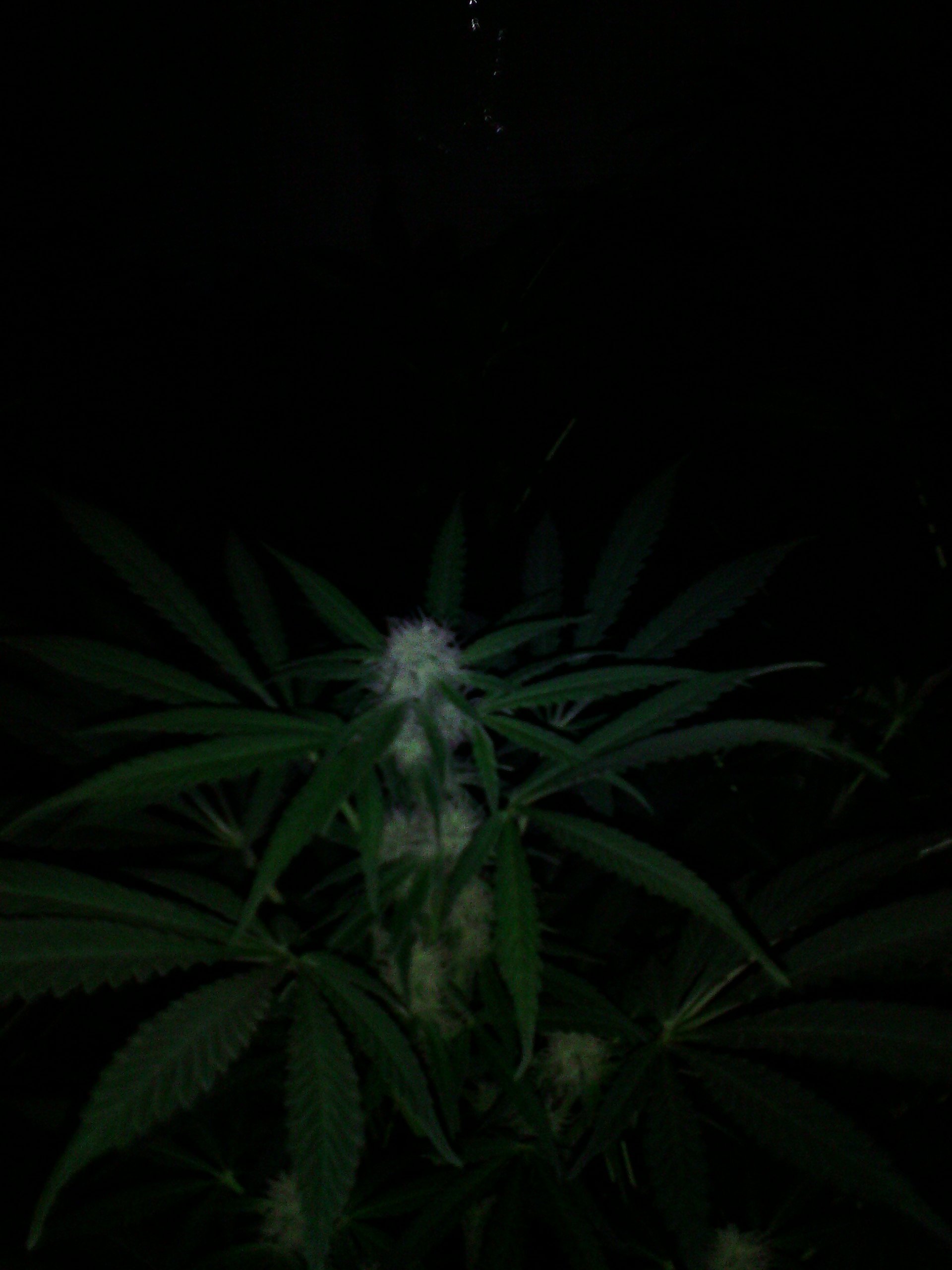 IMG 20150201 122857