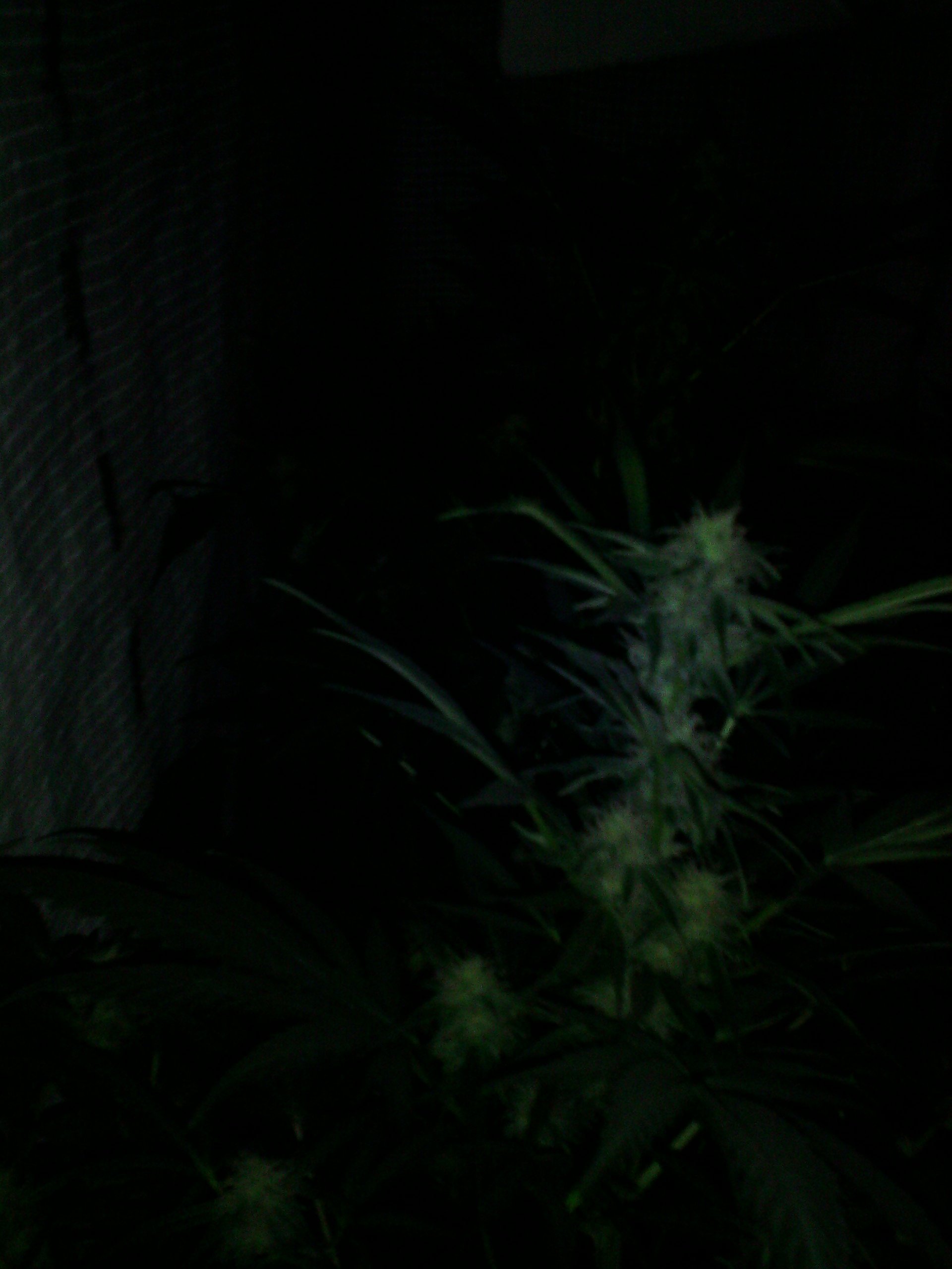 IMG 20150201 122926