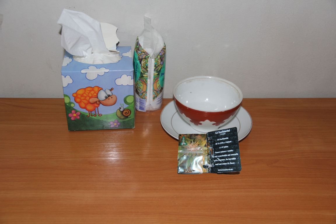 IMG 9976