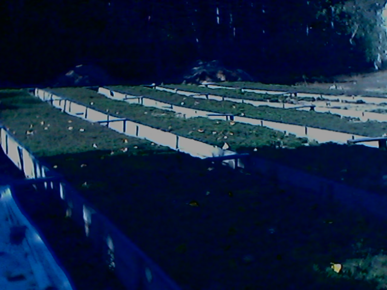 IMG0022A