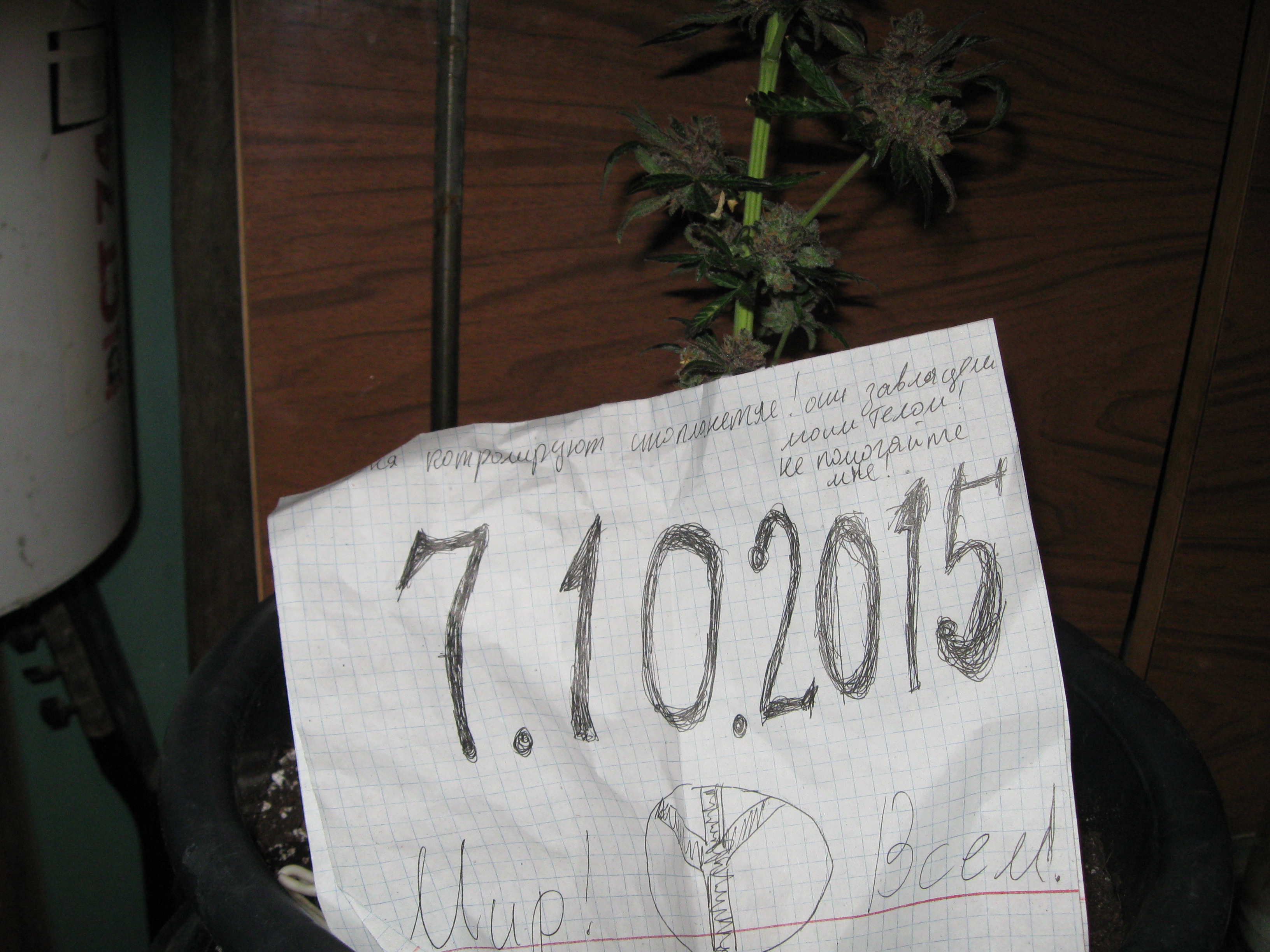 IMG_5594.JPG