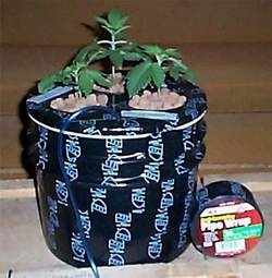 indoor hydro 04