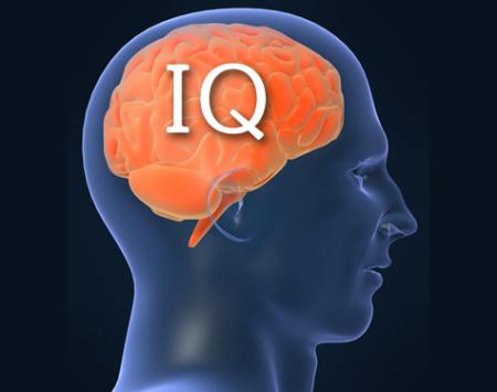 IQ